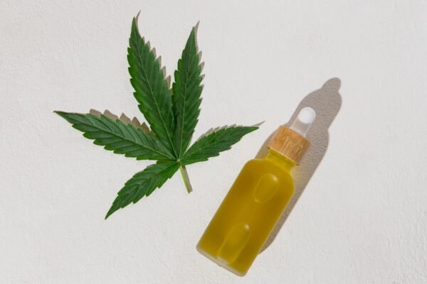 Great bulk recipes to help use all your organic vegetables